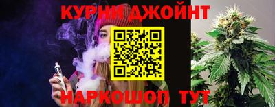 гидра Новодвинск
