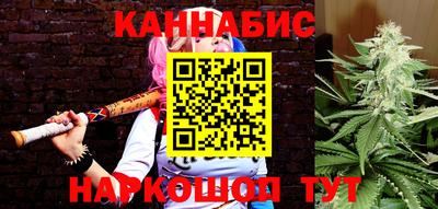 гидра Новодвинск
