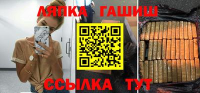 гидра Новодвинск