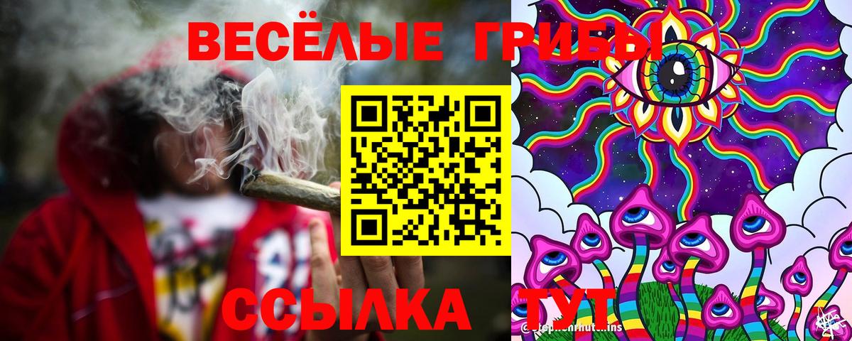 Галлюциногенные грибы мухоморы  Вход с VPN  где найти наркотики  Шадринск  Псилоцибиновые грибы Cubensis 