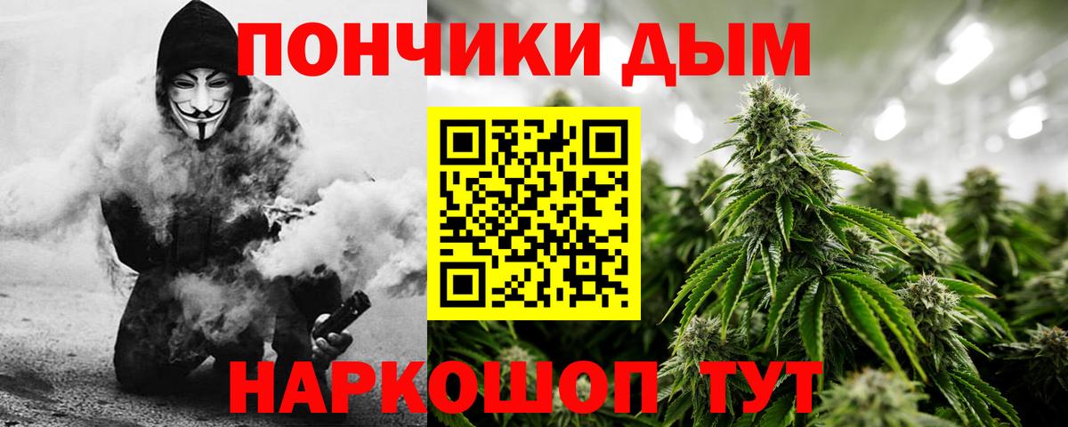 Марихуана сатива Шадринск